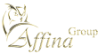 «Аффина Групп», содействие бизнесу