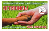 «Оглянись!», приют для бездомных собак